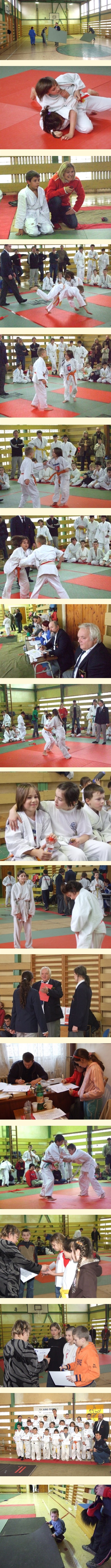 judo Roznava