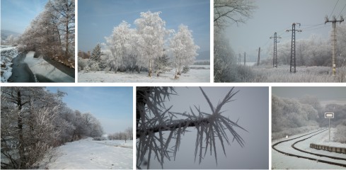 zimná príroda