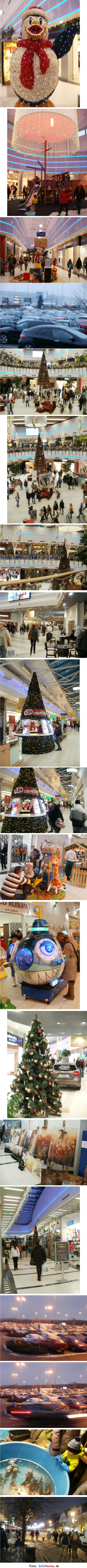 Vianočné nákupy 2013