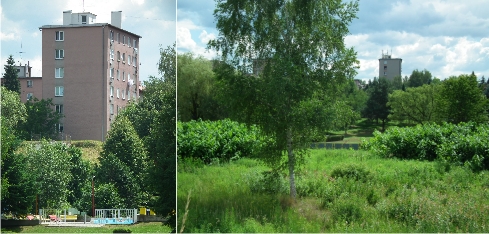 Kúpalisko Rožňava  - zarastené okolie